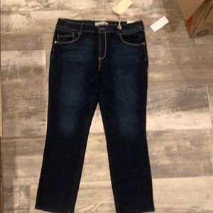 Artisan Crafted by Democracy